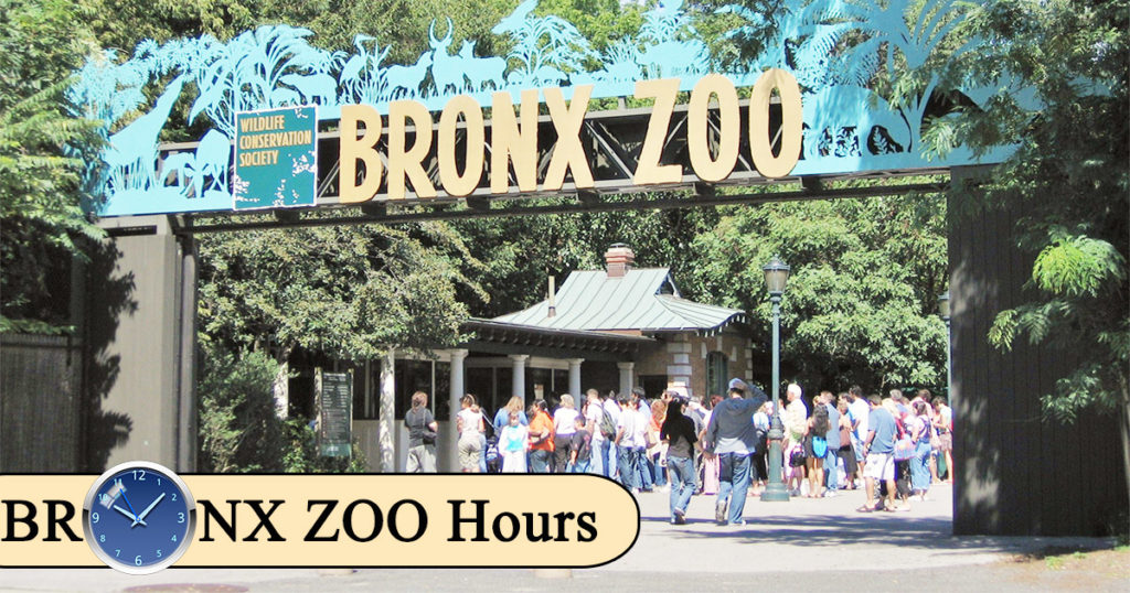 Bronx Zoo Hours Today Sunday, Free Wednesday Hours of Operation