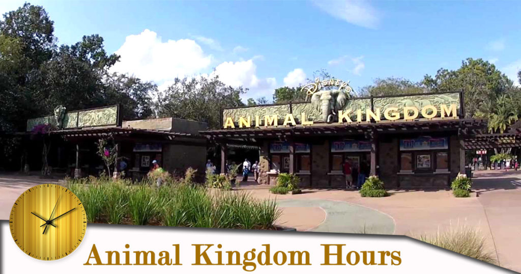 Animal Kingdom Hours Today | Opening & Closing Hours, Holiday Timings